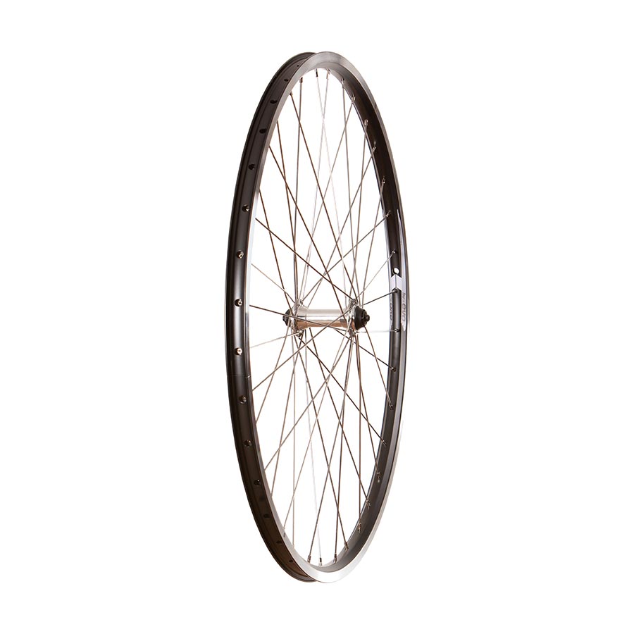 Evo wheel cheap bike