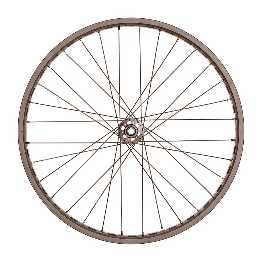 Black Evo Fat Bike - 26" Bicycle Wheel 